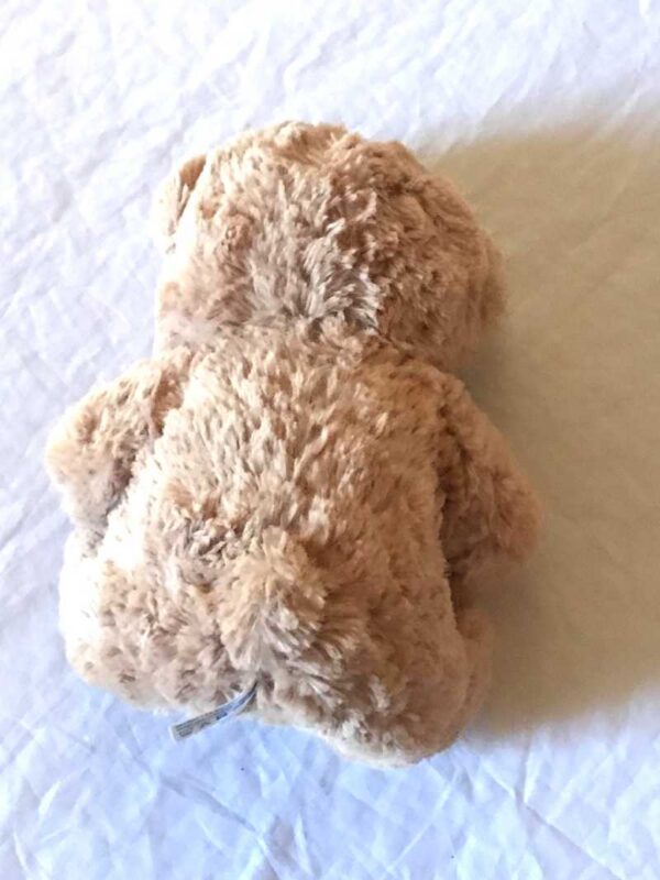 Arrière peluche normale petit ourson brun traces pattes marrons sous pieds