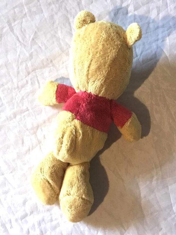 Arrière peluche normale petit ourson winnie jaune veste rouge écriture pooh