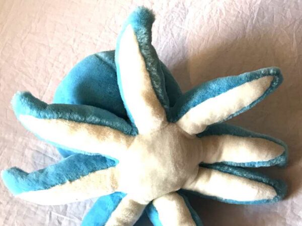 Dessous peluche normale grosse pieuvre bleue tête ronde tentacules