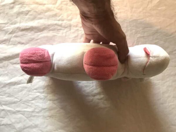 Dessous peluche normale licorne blanche plate corne jaune