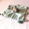 Doudou petit chien chiot gris robe plate étendue bleue