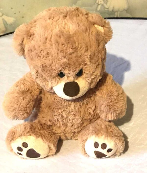 Peluche normale petit ourson brun traces pattes marrons sous pieds