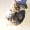 Arrière peluche normale chiot blanc bonnet pompon echarpe crèmes boutique enfance-douceur Arrière peluche normale chiot blanc bonnet pompon echarpe crèmes